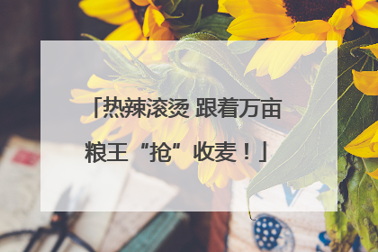热辣滚烫 跟着万亩粮王“抢”收麦！