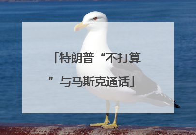 特朗普“不打算”与马斯克通话