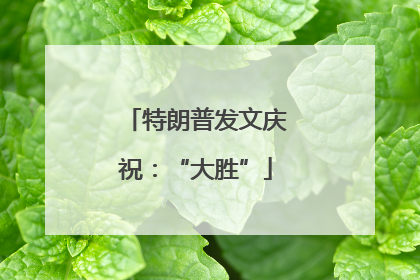 特朗普发文庆祝：“大胜”