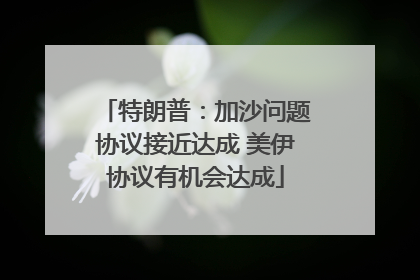 特朗普：加沙问题协议接近达成 美伊协议有机会达成