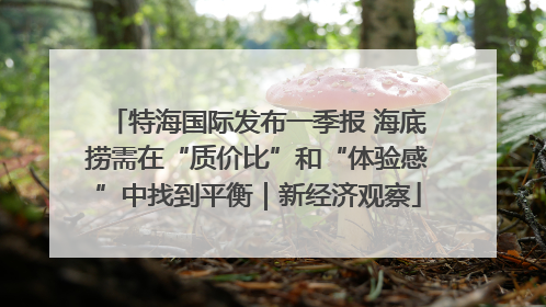 特海国际发布一季报 海底捞需在“质价比”和“体验感”中找到平衡｜新经济观察
