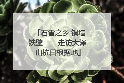 石雷之乡 铜墙铁壁——走访大泽山抗日根据地