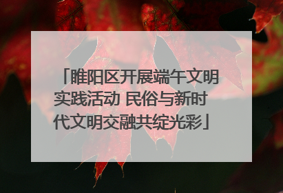 睢阳区开展端午文明实践活动 民俗与新时代文明交融共绽光彩