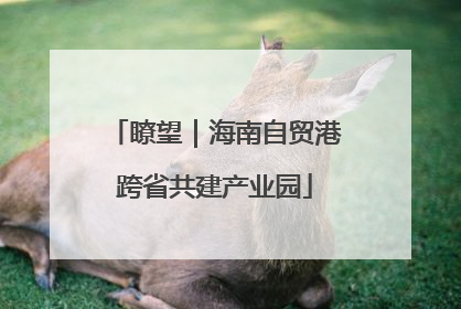 瞭望｜海南自贸港跨省共建产业园