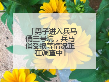 男子进入兵马俑三号坑，兵马俑受损等情况正在调查中