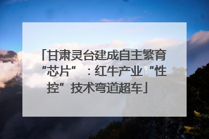 甘肃灵台建成自主繁育“芯片”：红牛产业“性控”技术弯道超车