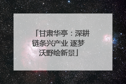 甘肃华亭：深耕链条兴产业 逐梦沃野绘新景