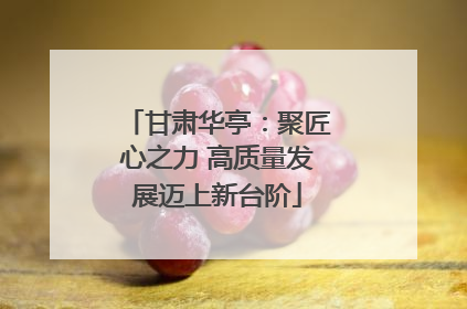 甘肃华亭：聚匠心之力 高质量发展迈上新台阶