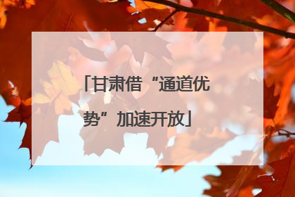 甘肃借“通道优势”加速开放