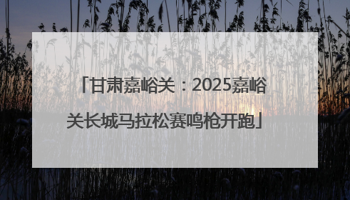 甘肃嘉峪关：2025嘉峪关长城马拉松赛鸣枪开跑