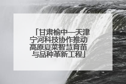 甘肃榆中—天津宁河科技协作推动高原夏菜智慧育苗与品种革新工程