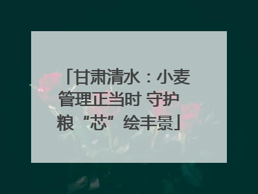 甘肃清水：小麦管理正当时 守护粮“芯”绘丰景