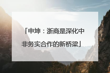 申坤：浙商是深化中非务实合作的新桥梁