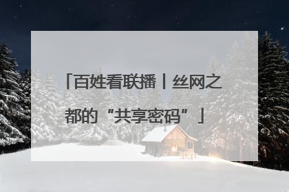 百姓看联播丨丝网之都的“共享密码”