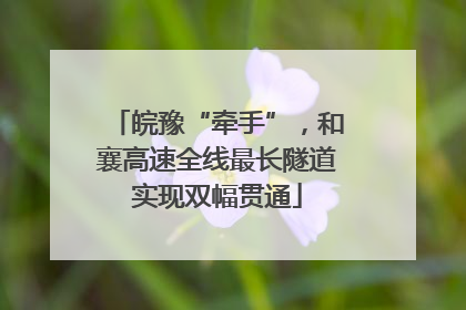 皖豫“牵手”，和襄高速全线最长隧道实现双幅贯通