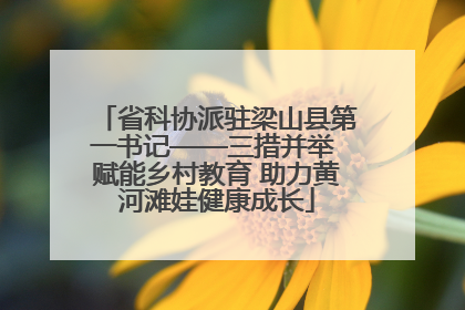 省科协派驻梁山县第一书记——三措并举 赋能乡村教育 助力黄河滩娃健康成长