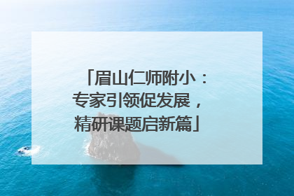 眉山仁师附小：专家引领促发展，精研课题启新篇