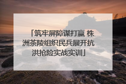 筑牢屏障谋打赢 株洲茶陵组织民兵展开抗洪抢险实战实训