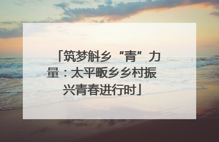 筑梦斛乡“青”力量：太平畈乡乡村振兴青春进行时