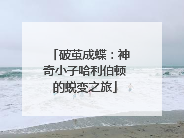破茧成蝶：神奇小子哈利伯顿的蜕变之旅