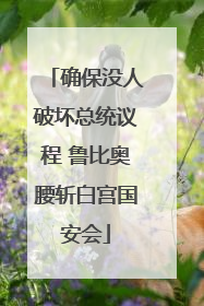 确保没人破坏总统议程 鲁比奥腰斩白宫国安会