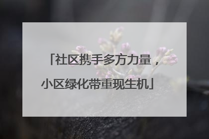 社区携手多方力量，小区绿化带重现生机