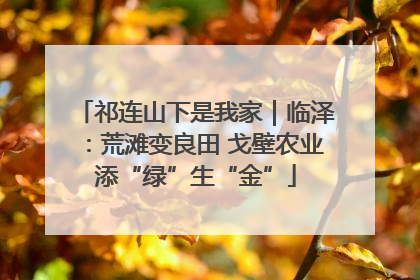 祁连山下是我家｜临泽：荒滩变良田 戈壁农业添“绿”生“金”