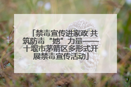 禁毒宣传进家政 共筑防毒“她”力量——十堰市茅箭区多形式开展禁毒宣传活动