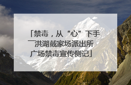 禁毒，从“心”下手――洪湖戴家场派出所广场禁毒宣传侧记