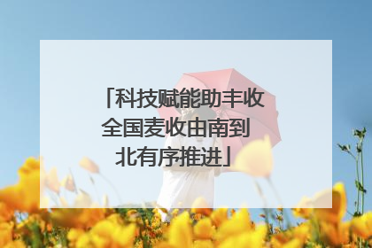 科技赋能助丰收 全国麦收由南到北有序推进