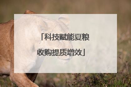 科技赋能夏粮收购提质增效