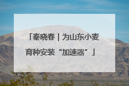 秦晓春｜为山东小麦育种安装“加速器”
