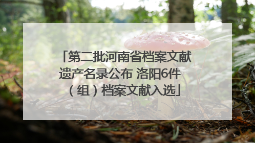 第二批河南省档案文献遗产名录公布 洛阳6件（组）档案文献入选