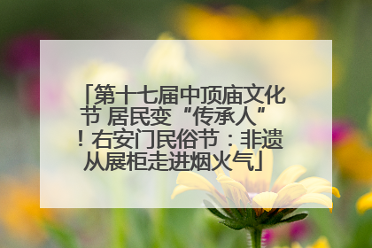 第十七届中顶庙文化节 居民变“传承人”！右安门民俗节：非遗从展柜走进烟火气