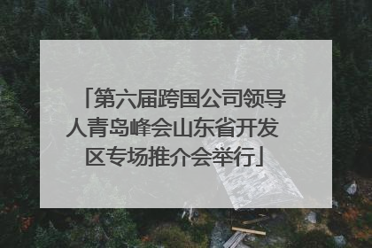 第六届跨国公司领导人青岛峰会山东省开发区专场推介会举行