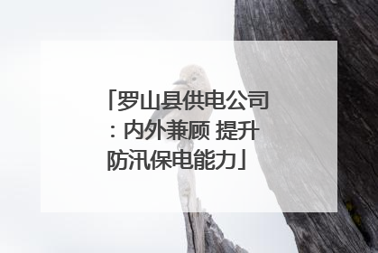 罗山县供电公司：内外兼顾 提升防汛保电能力