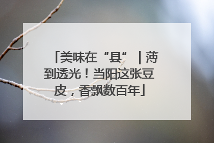 美味在“县”｜薄到透光！当阳这张豆皮，香飘数百年