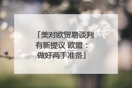 美对欧贸易谈判有新提议 欧盟：做好两手准备