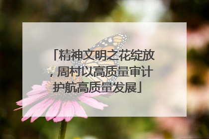 精神文明之花绽放，周村以高质量审计护航高质量发展