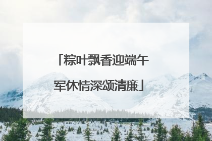 粽叶飘香迎端午 军休情深颂清廉