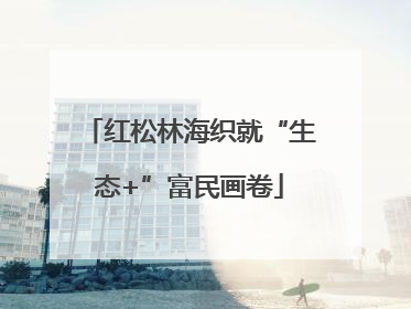 红松林海织就“生态+”富民画卷