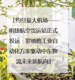 约旦最大机场——明捷航空货运站正式投运：罗地格工业自动化方案驱动中东物流未来新航向