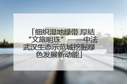 细织湿地绿带 厚结“文旅明珠”——中法武汉生态示范城挖掘绿色发展新动能