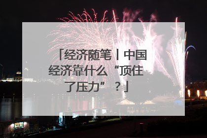 经济随笔丨中国经济靠什么“顶住了压力”？
