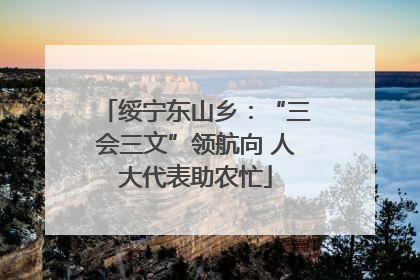 绥宁东山乡：“三会三文”领航向 人大代表助农忙