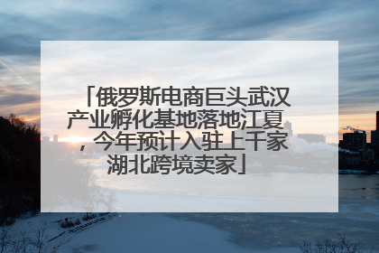 俄罗斯电商巨头武汉产业孵化基地落地江夏，今年预计入驻上千家湖北跨境卖家
