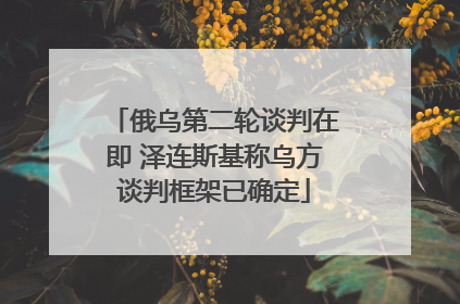俄乌第二轮谈判在即 泽连斯基称乌方谈判框架已确定