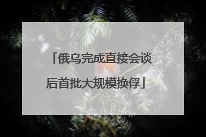 俄乌完成直接会谈后首批大规模换俘