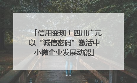 信用变现！四川广元以“诚信密码”激活中小微企业发展动能