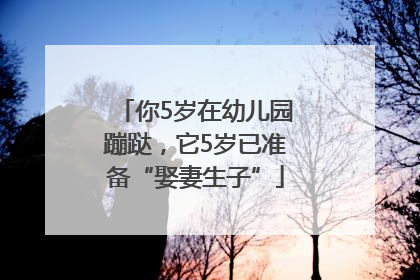 你5岁在幼儿园蹦跶，它5岁已准备“娶妻生子”